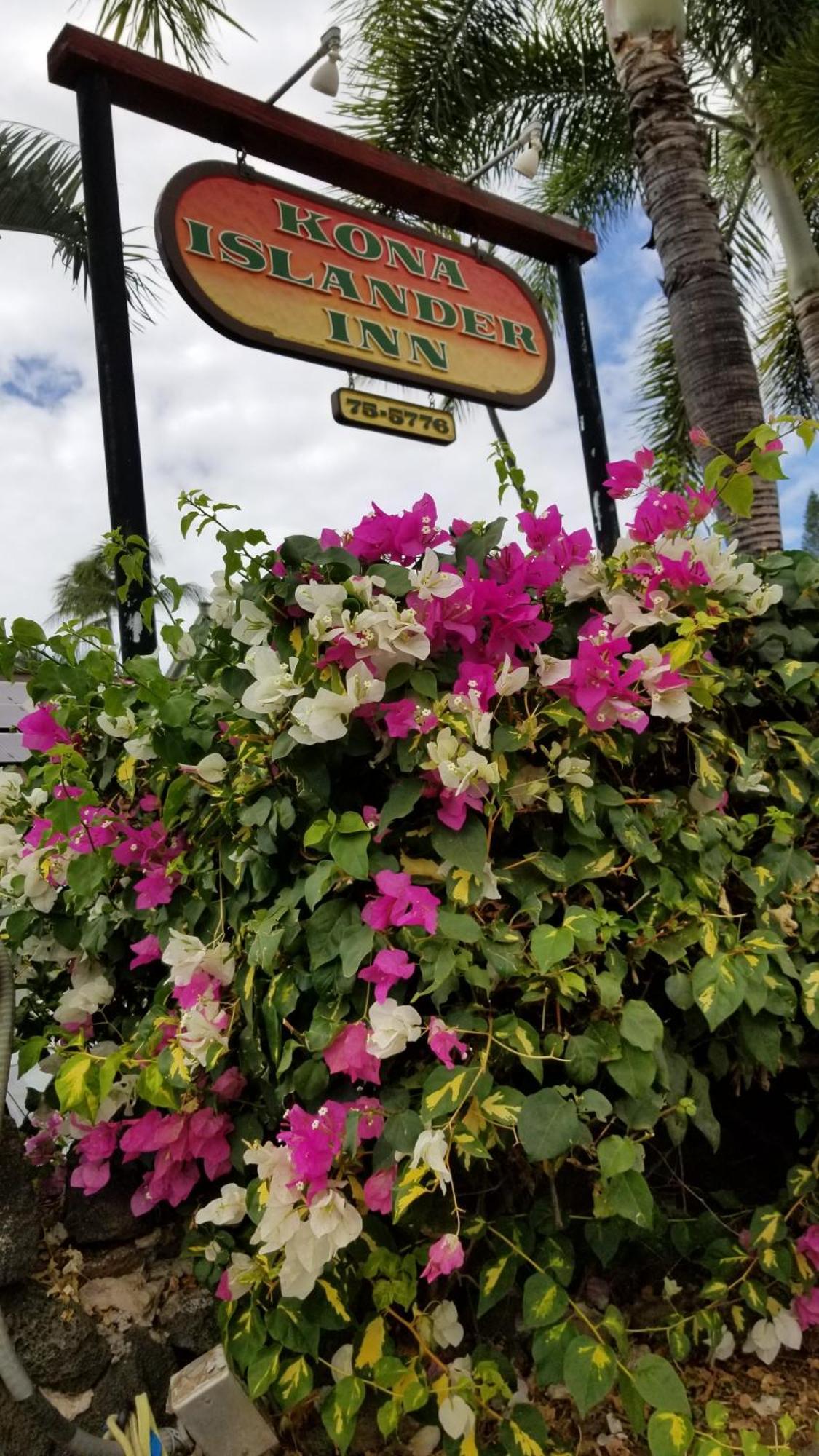 Downtown Hawaiian Theme Condo With Hot Tub, Pool & Beach - Kona Islander Inn Kailua-Kona Exteriör bild